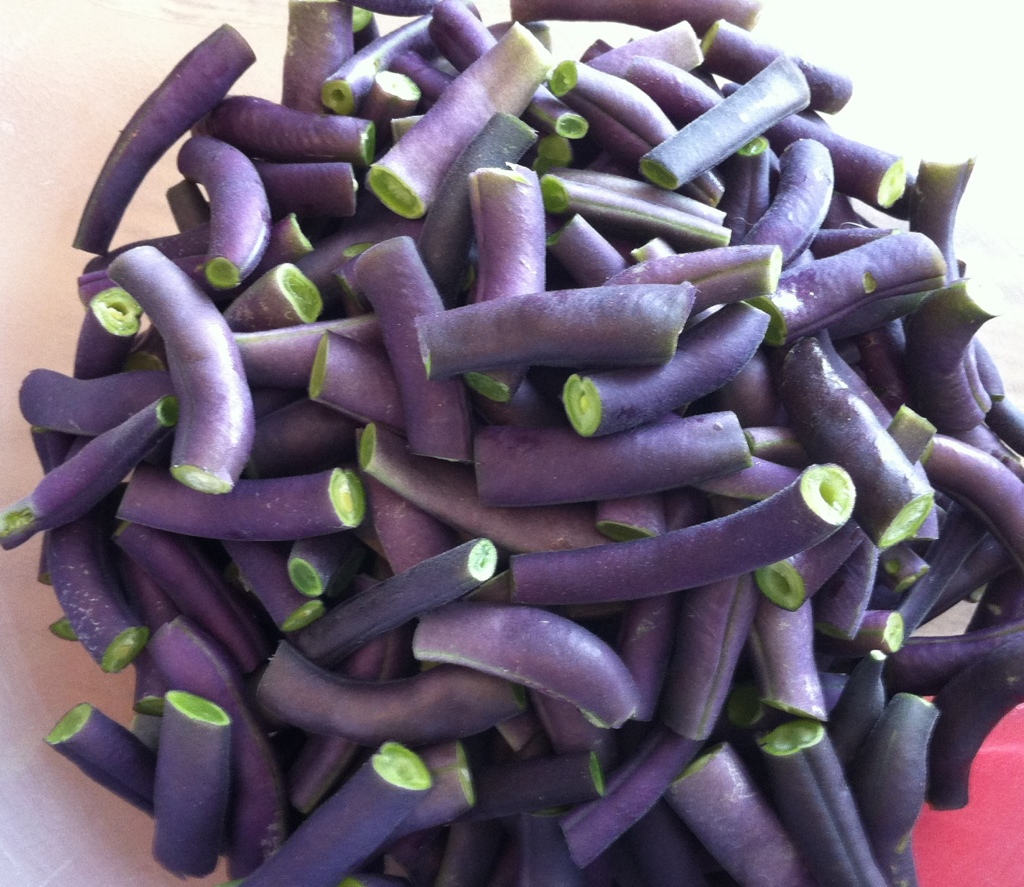 Gratitude, Grace and Green Beans