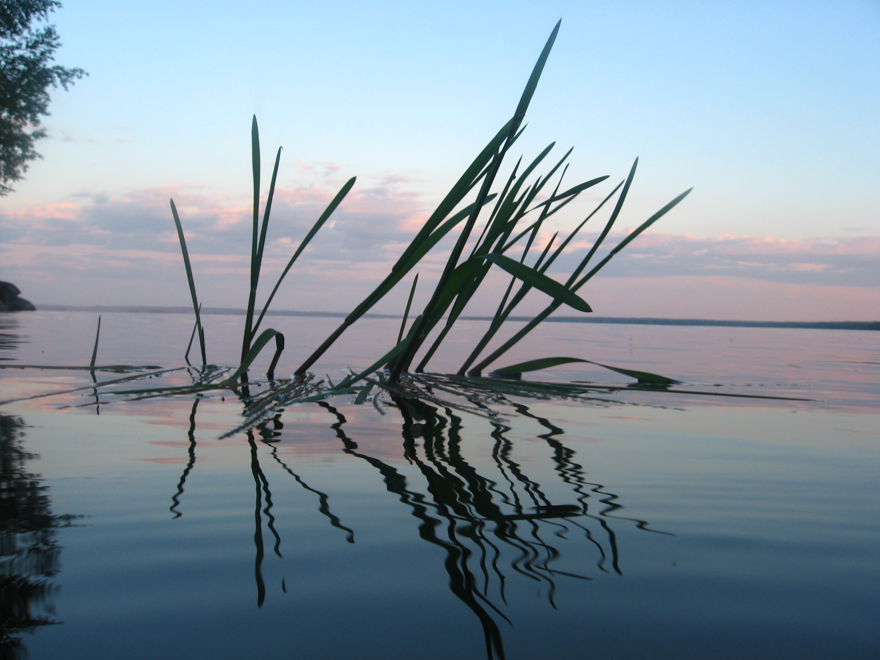Stillness Shrinks Us to Our Own Size