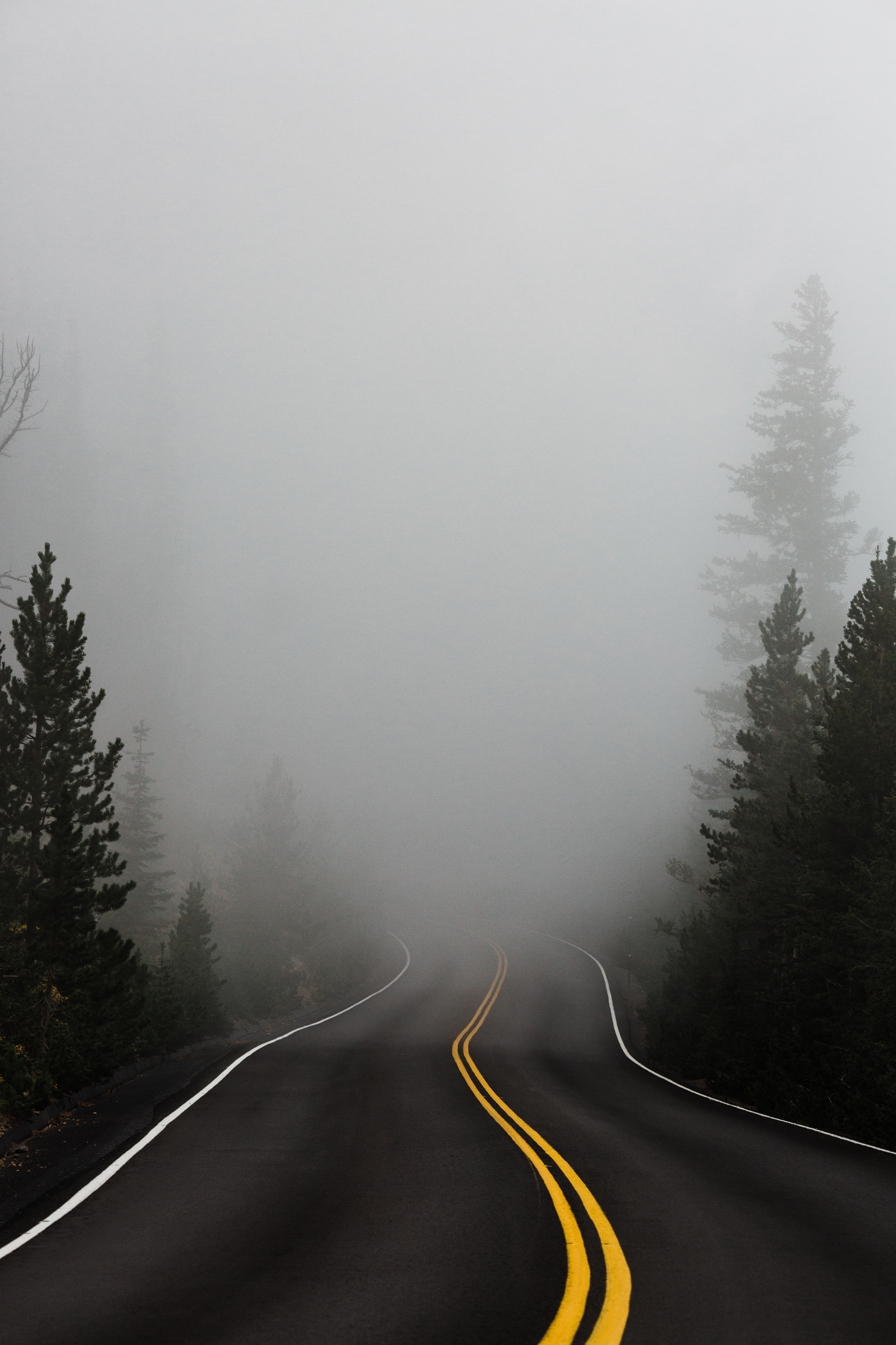 Like Driving a Car at Night