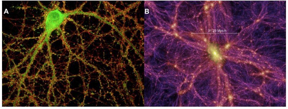 The Universe Inside
